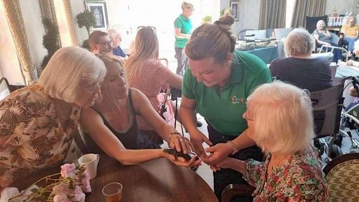 Therapeutic animal visits to care homes and community groups in Essex
